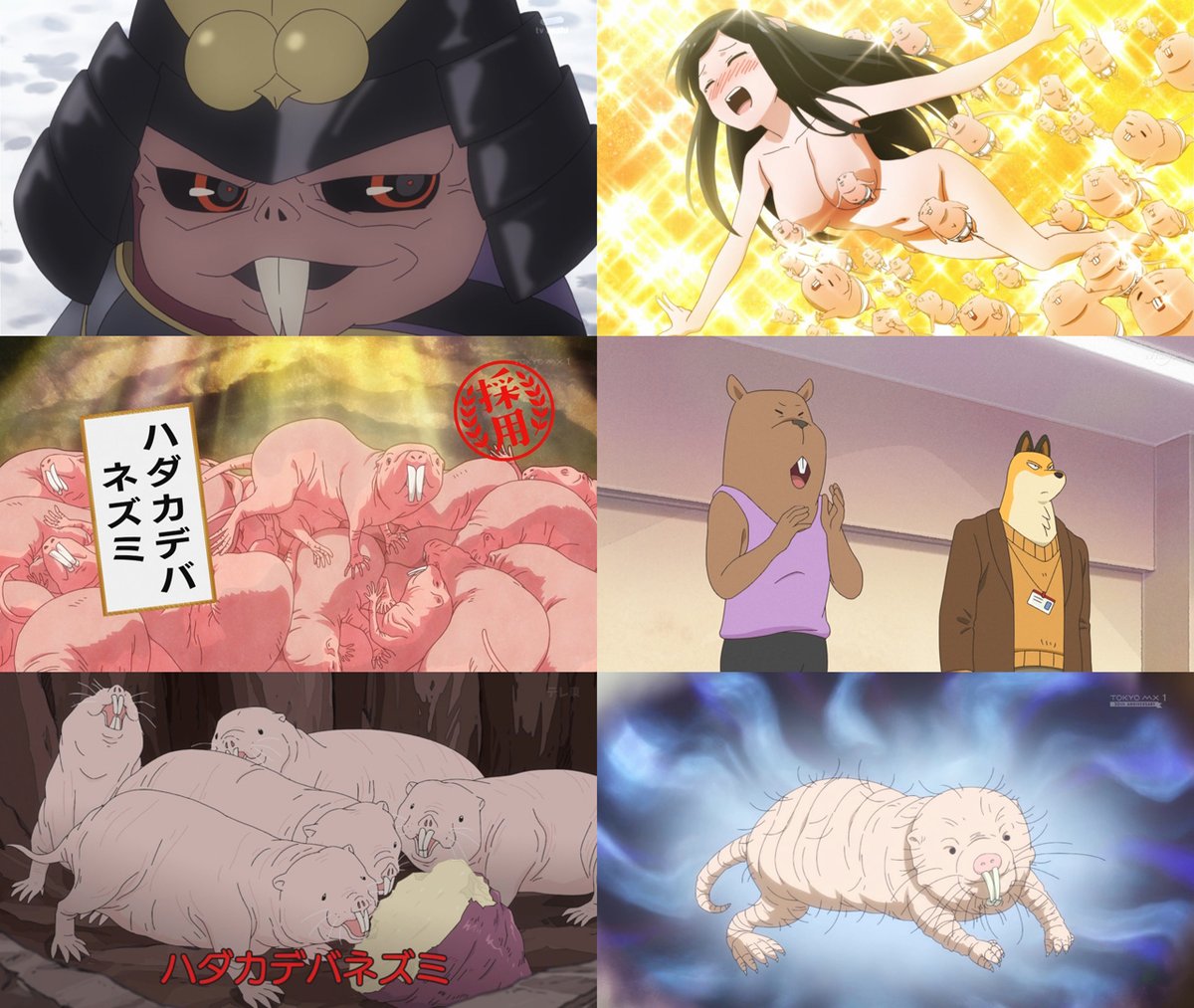 ハシビロコウほどではないが、わりとアニメによく出てくるハダカデバネズミ( ･`ω･´)　#アルマちゃん #tokyomx

新世界より/群れなせ！シートン学園
天地創造デザイン部/オッドタクシー
休日のわるものさん/アルマちゃんは家族になりたい