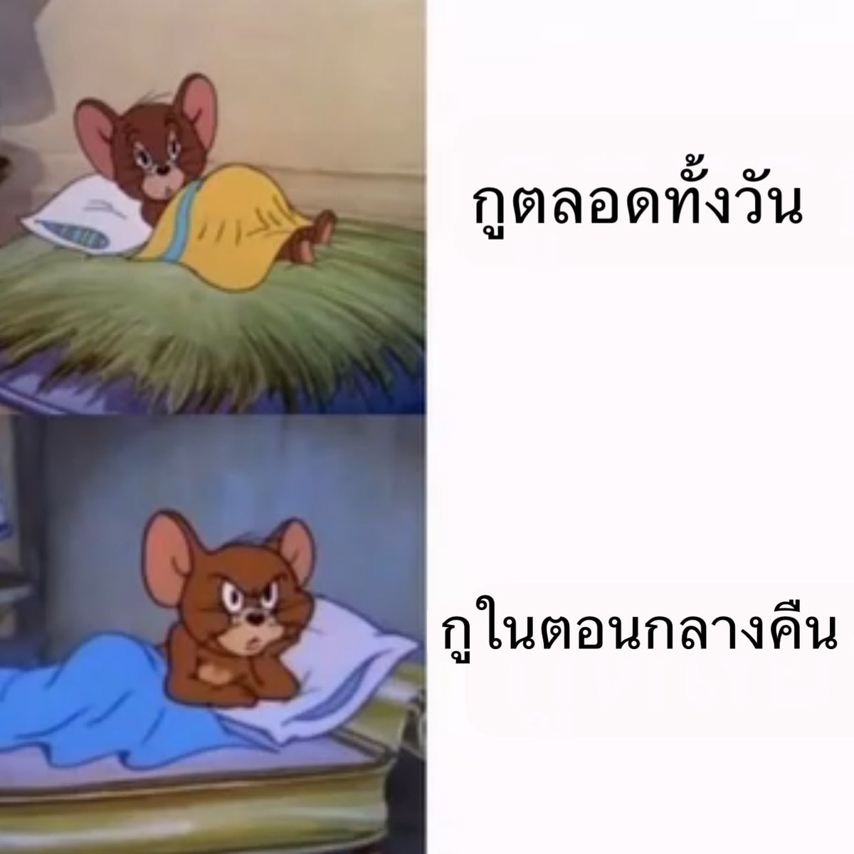bbigkachu's tweet image. จริง 5555555555