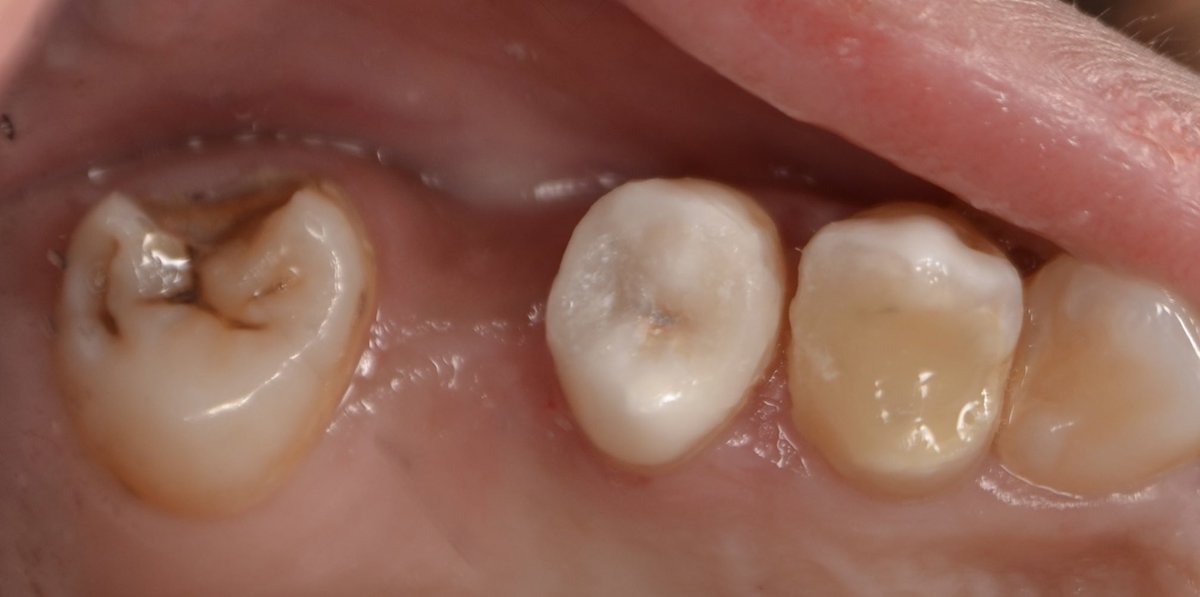 رحيق tweet media