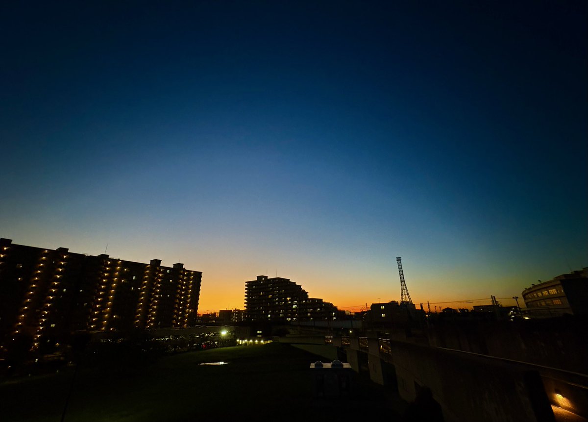 viva_django's tweet image. 平日の疲れが取れず、週末出歩く気力が出ない。映画館には行きたいと思うけど、新作から遠ざかってしまい何を見たらいいのか分からない。こんな酷い状態は初めてかもしれないな。あらゆる事に超弱気になってる。

気を取り直して、来週末こそ映画館へ！