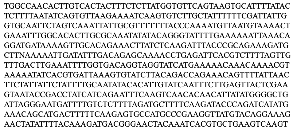 SynBio1's tweet photo. Somebody once sent me a DNA sequence in a Microsoft Word document and something about seeing nucleotides in Times New Roman font really stresses me out https://t.co/EFp9asR5WU