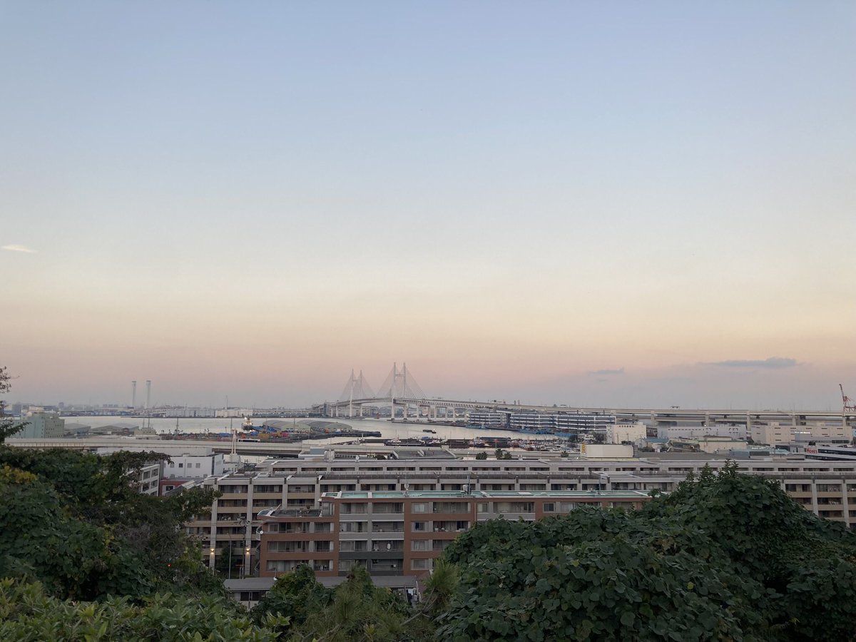 超逸品！美しい夕焼け景色　 朱砂入デンドリバングル 今日の夕焼け