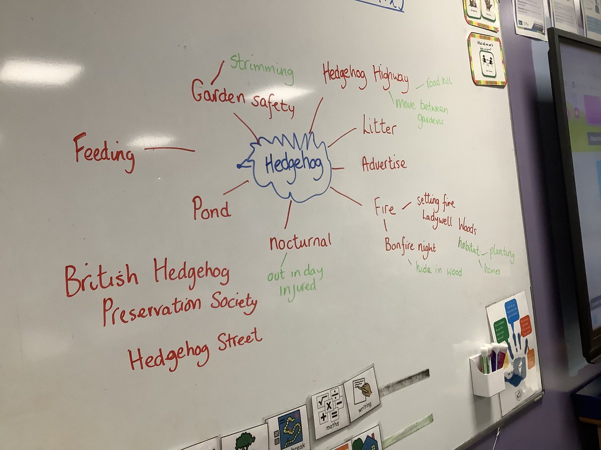 HarrysmuirPS's tweet photo. @MrsCarder_hps has set  P7s a challenge. To research hedgehogs &amp; collect information they can share with others. How they share it will be their choice, looking forward to some innovative ideas &amp; great collaboration. Watch this space! 🦔@HogFriendly @hedgehogsociety #HogFriendly https://t.co/4lK2olE2fL