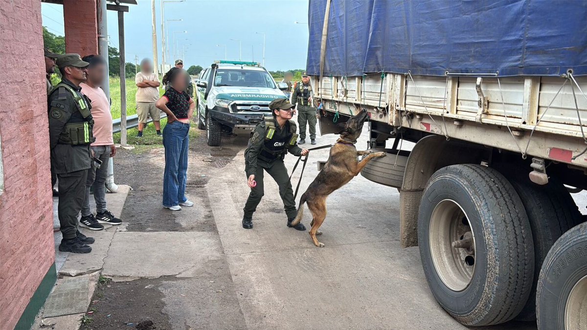 CASI 2.700 KILOS DE MARIHUANA OCULTOS ENTRE BOBINAS DE ALAMBRE

Un operativo de control rutinario terminó revelando uno de los cargamentos de marihuana más grandes del año en la provincia.

LEER MAS: bit.ly/4i4dw25