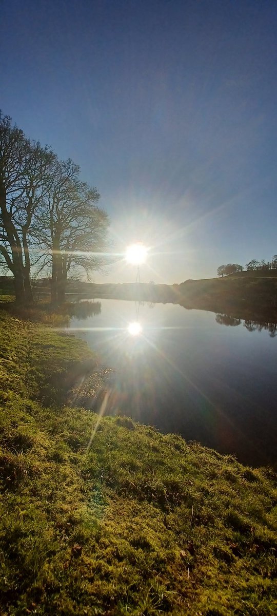 D L Z (@dlzfilms) on Twitter photo 