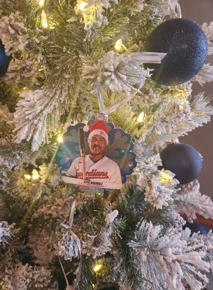 wifflebreakers's tweet image. Yearly Wiffle Christmas Tree post with @Topps Holiday ornaments! Jose the real MVP!