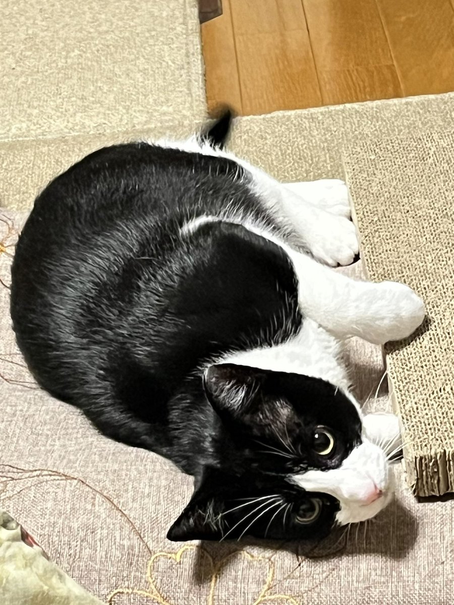 各局、おはようございます。
今週もよろしくお願いします🙇　1週間FBに〜