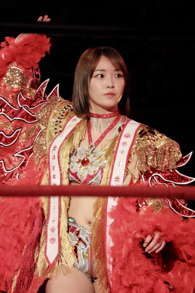 かめちゃん カメちゃん🐢 (@kamechan7407) / Posts / X