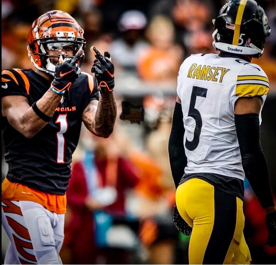 The Holy Grail tweet media