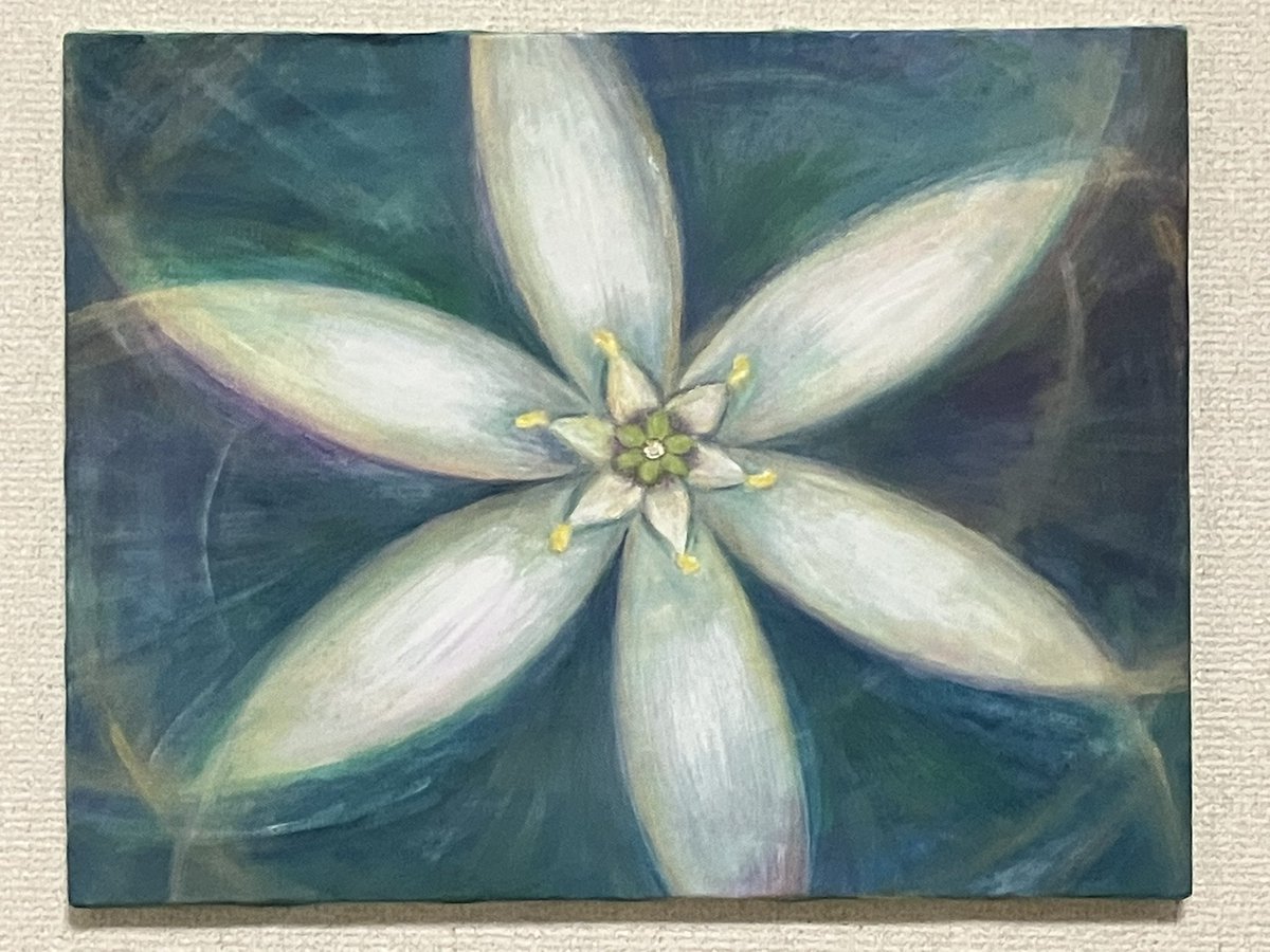 【個展のお知らせ（訂正）】
11/23（日）12:00〜19:00
1日限定の個展「キャンドルと癒しと宇宙」を開催します。
静かな光や、心がふっと緩むような世界をテーマに、作品を展示します。
ゆっくり楽しんでいただけたら嬉しいです✨
会場：赤坂ミリオンズ
🔗 salon-millions.com 
入場無料