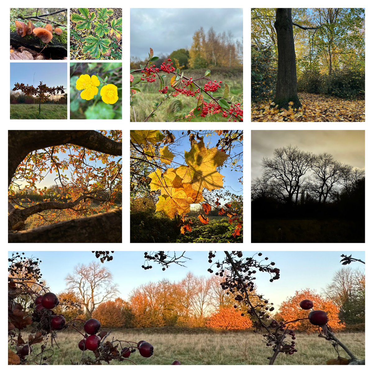 Jay Up North tweet media