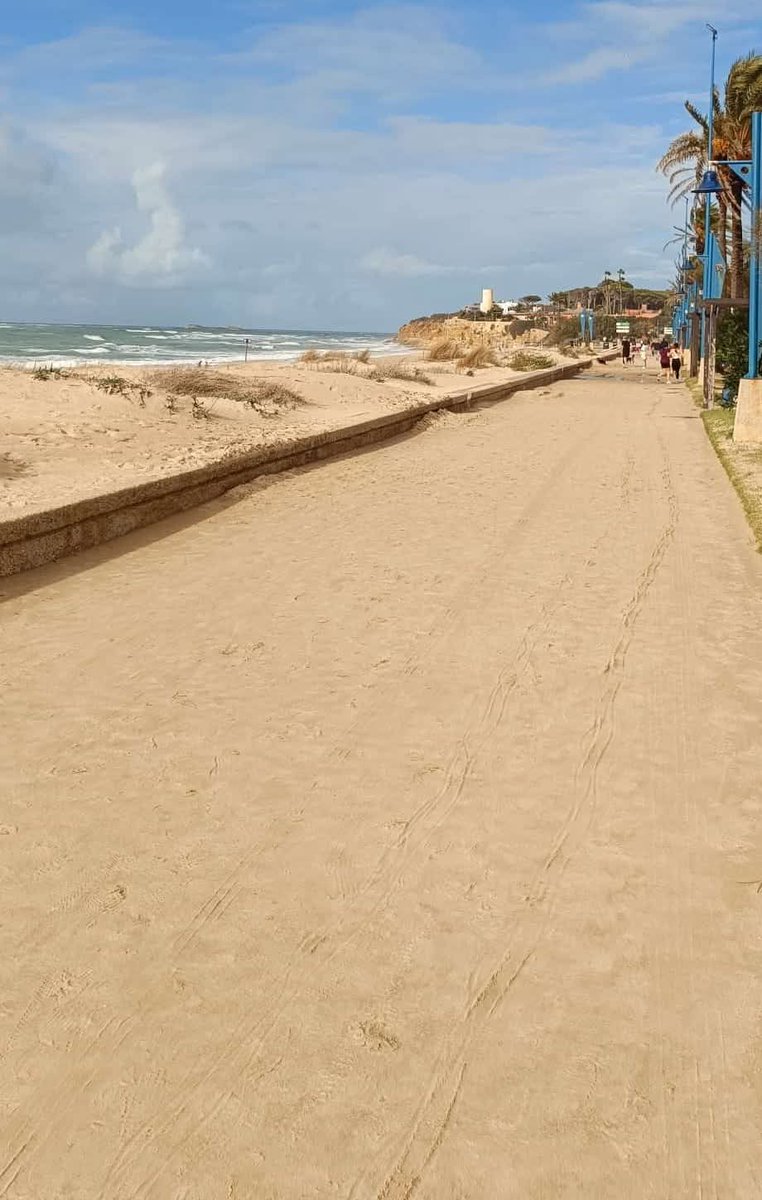 Cada vez que hay un temporal de viento de poniente la arena cubre la totalidad del Paseo Marítimo de #Ciclana.

 FOTO: Tomada por una simpatizante de TONIZA-ECOLOGISTAS EN ACCIÓN CHICLANA el domingo 16 de noviembre de 2025.

facebook.com/share/p/17Qf2H…