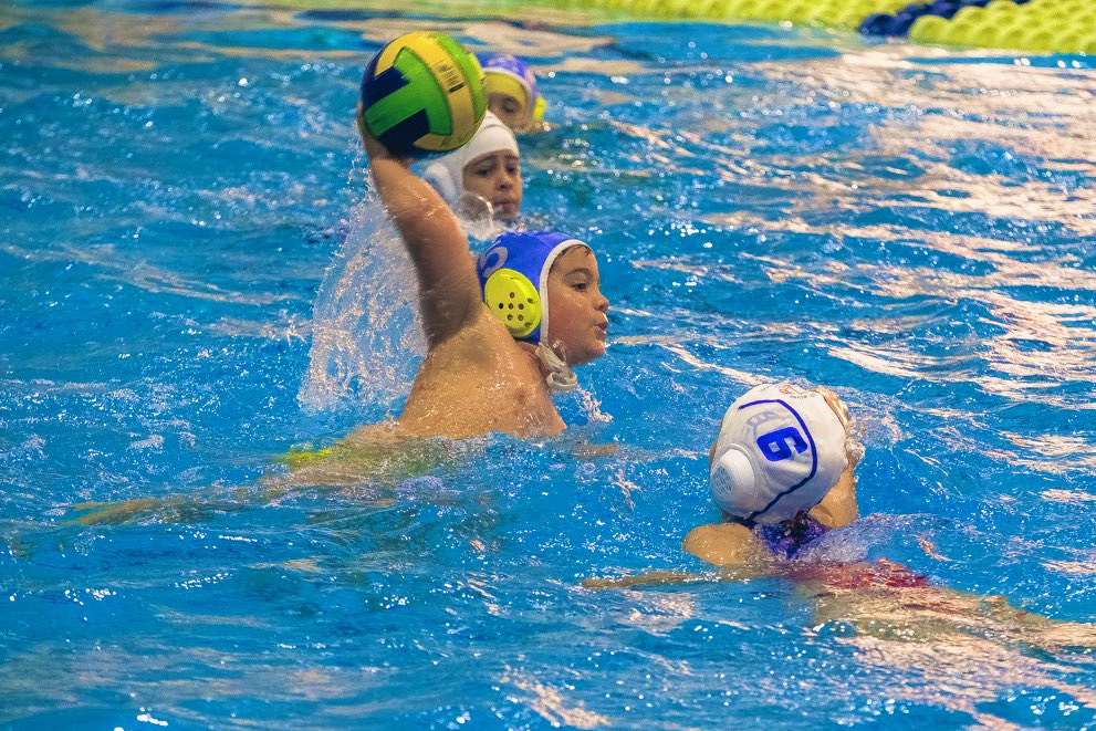 #WP #JJDDMM <a href="/MADRID/">Ayuntamiento Madrid</a>
Hoy ha debutado nuestro #equipo #benjamín en los Juegos Deportivos Municipales
🔝🤽‍♀️➕🤽‍♂️🔝
Las chicas y chicos de la #escuela tienen toda una temporada de #waterpolo por delante para #divertirse y #aprender
#trainhard
#play4fun
#elpololopeta
📸<a href="/fmn_oficial/">FMN</a>