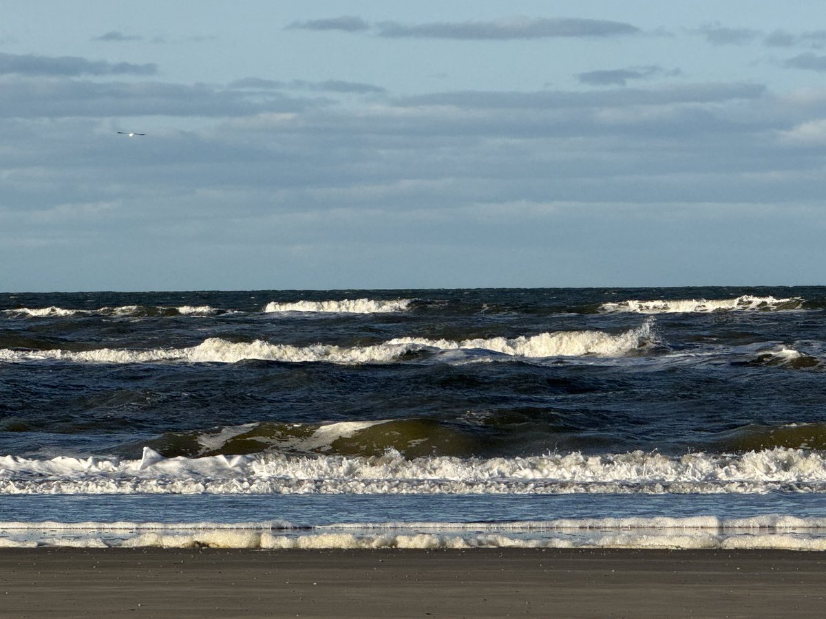 meintebonthuis's tweet image. Strand…