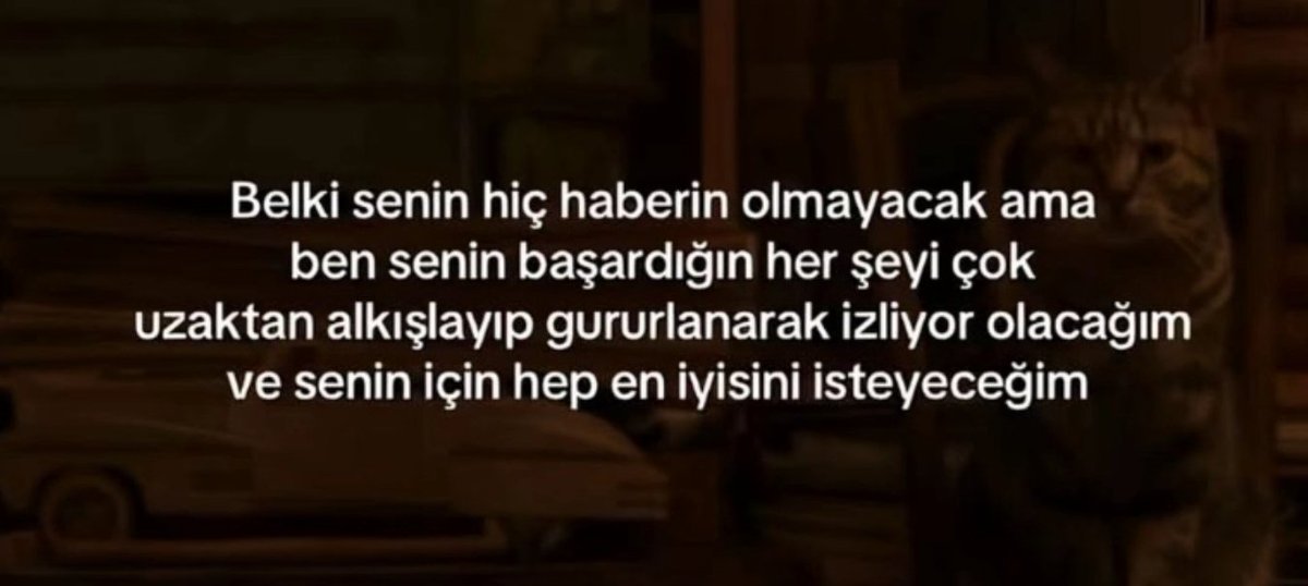 ilssonteuxsair's tweet photo. https://t.co/g5ouR2hMpR