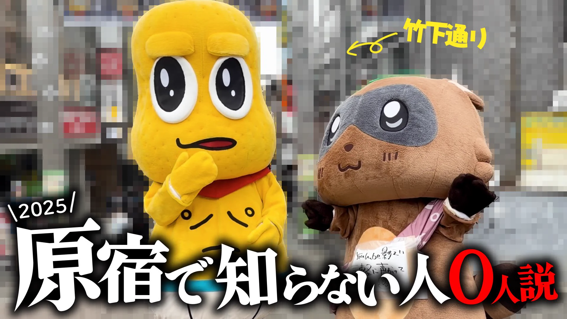 ぽんぽこです。 甲賀流忍者ぽんぽこ🍃たぬき！ on X: 