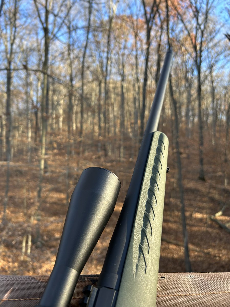 JekyllsGone's tweet photo. Some of you have never known the peace of a weekend in the woods. https://t.co/5QmpeeyuMA