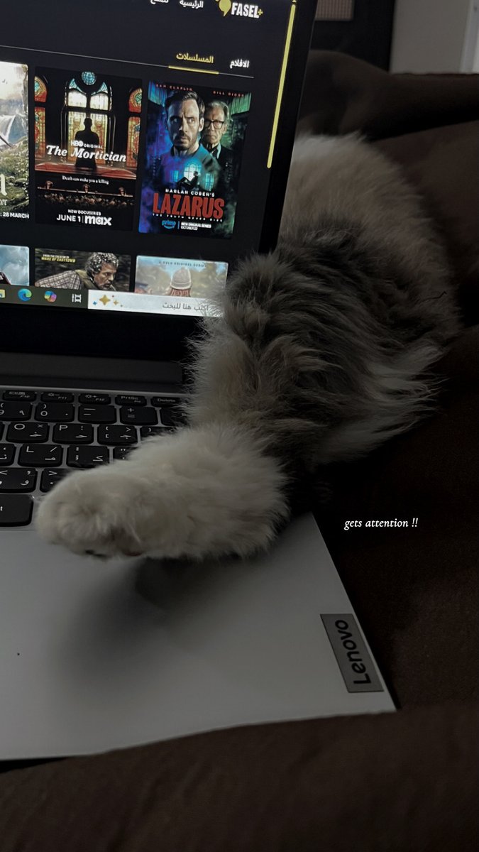 ii_r3d's tweet image. 16 Nov🤍
✨man down✨