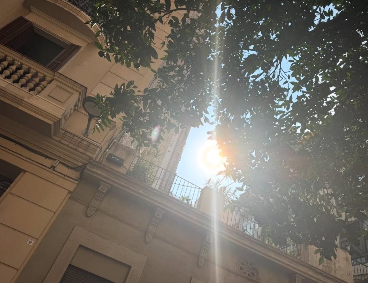 rydingomez's tweet image. el disco tiene relación con el sol……. el sol es clave en el disco……..