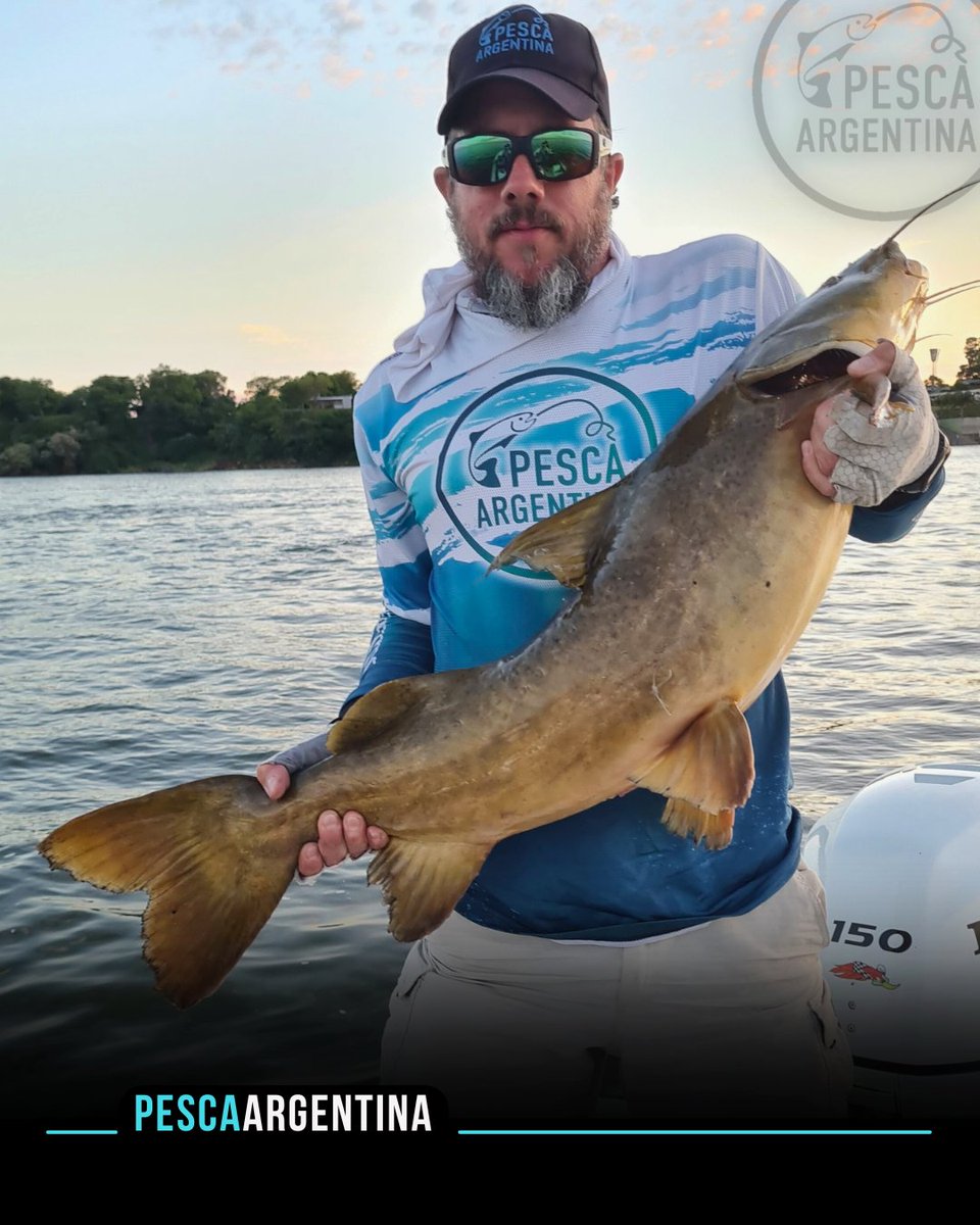 🚀 ES AHORA!!! Pescamos los gigantes del Alto Paraná. 
🔥 Itá Ibaté está con muy buena pesca en todas las modalidades: trolling, baitcast y carnada. 
🎣 Surubíes gigantes, dorados y manguruyúes. 
👉🏻 Lee la nota en: pescaargentina.com.ar 
Pescamos junto a @pousadapuertoparaiso