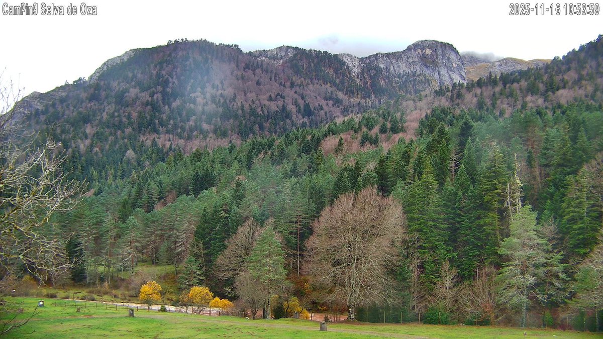 Desde el pasado 13 de Noviembre de 2025 y gracias al forero Nachosoi tenemos nueva Webcam en la Selva de Oza (1160m,Valle de Hecho,Jacetania,Pirineo Occidental Aragonés).Con vistas a la Peña Forca (2390m) 

Selva de Oza y Peña Forca 16-11-2025 Domingo.