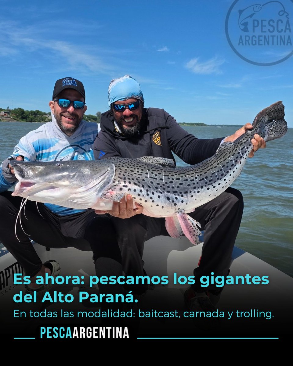 🚀 ES AHORA!!! Pescamos los gigantes del Alto Paraná. 
🔥 Itá Ibaté está con muy buena pesca en todas las modalidades: trolling, baitcast y carnada. 
🎣 Surubíes gigantes, dorados y manguruyúes. 
👉🏻 Lee la nota en: pescaargentina.com.ar 
Pescamos junto a @pousadapuertoparaiso
