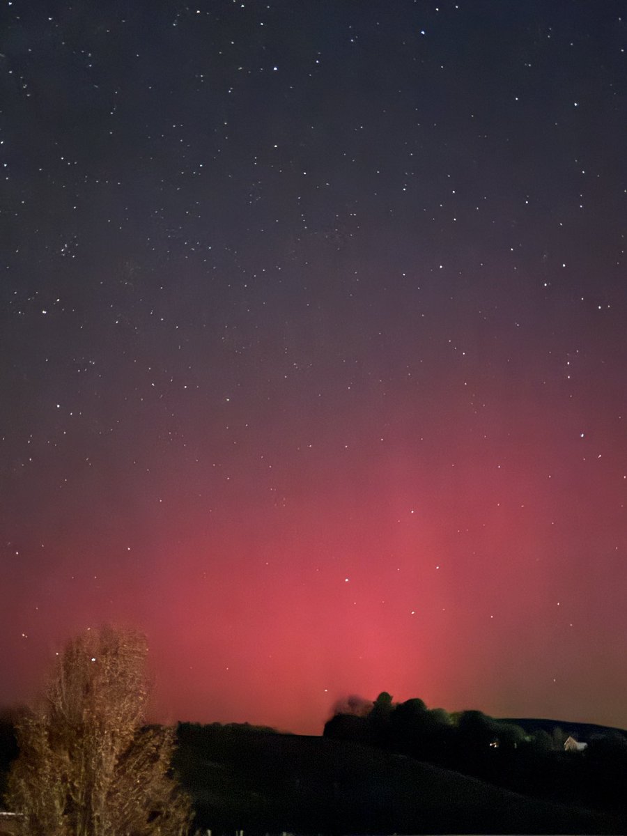 Northern Lights in Lex! #lexpics #lovelexva