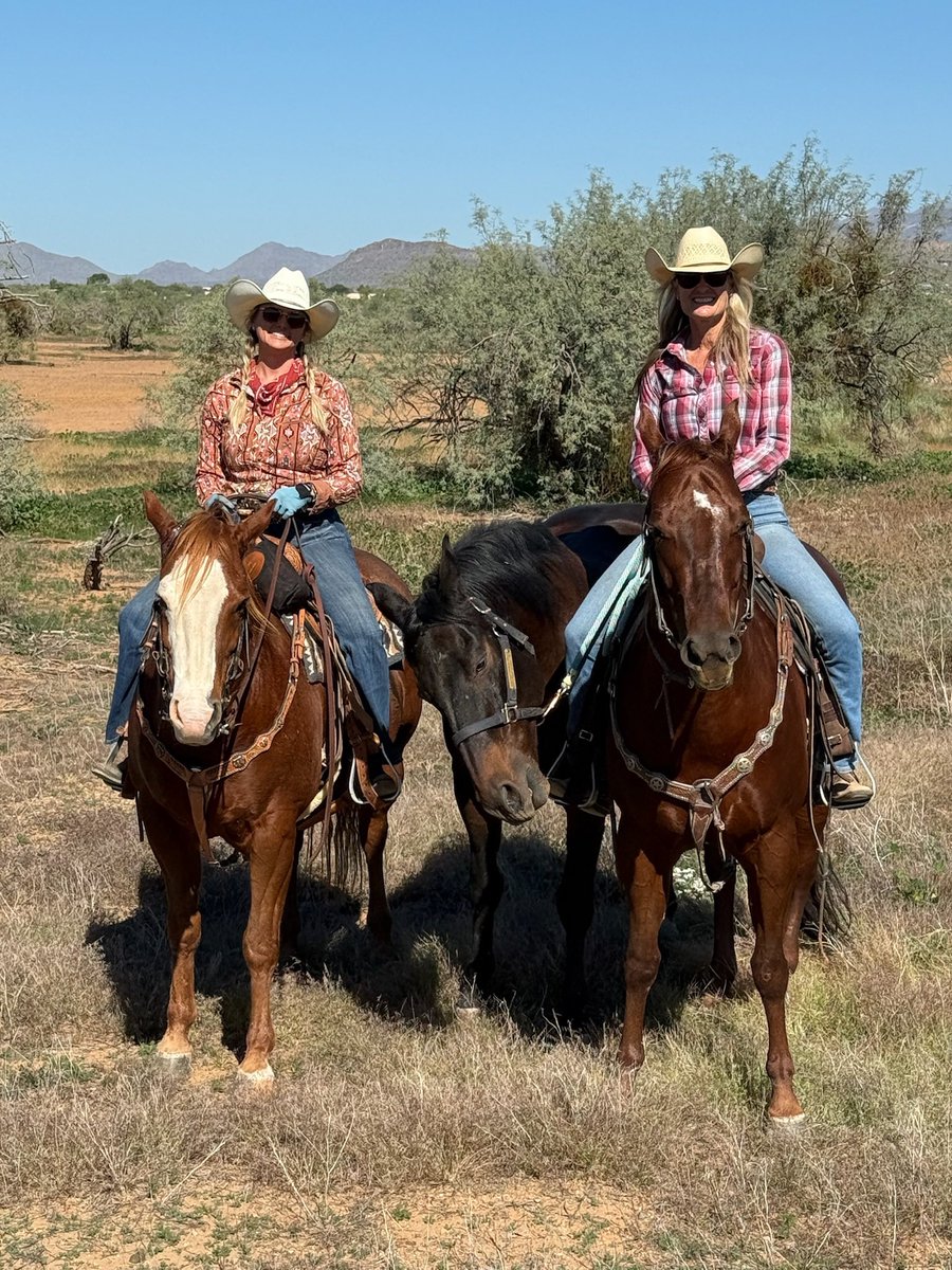 Miranda Lambert tweet media