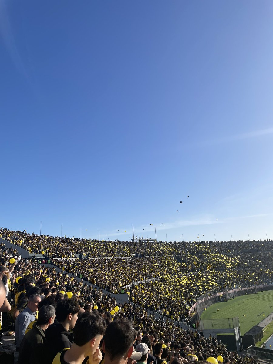 Información Real de Peñarol tweet media
