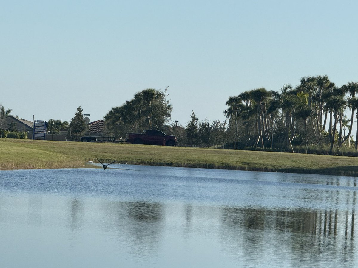 SamBarbee1's tweet image. 