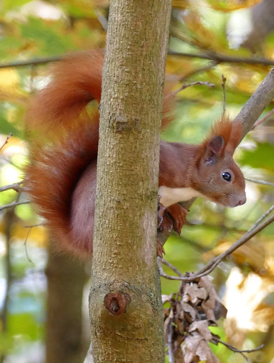 timpsnider's tweet image. 🤗 #picoftheday 

by @PiskeBjorn