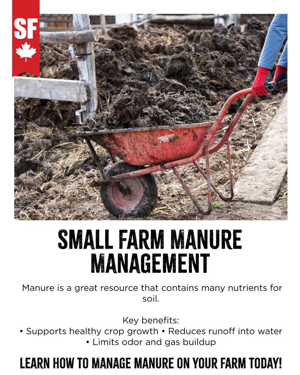 Small Farm Manure Management 

When manure is not managed properly it can pollute the environment, contaminate ground and surface water, and can also contribute to air quality concerns. 

See the benefits of managing manure ⤵️

smallfarmcanada.ca/resources/manu… 

#Resource