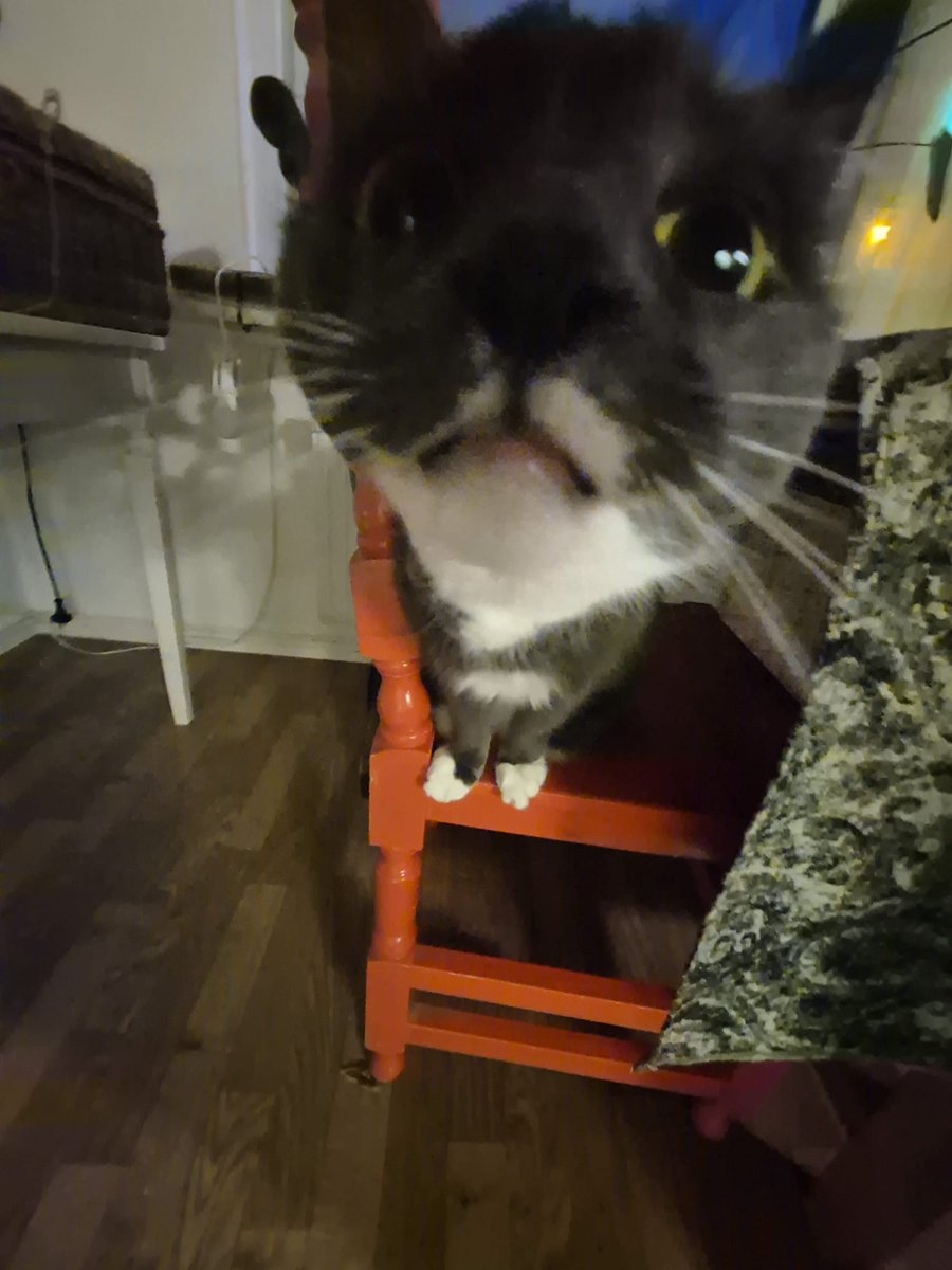 mirthreviv // I MAKE ART 🎨 // tweet media