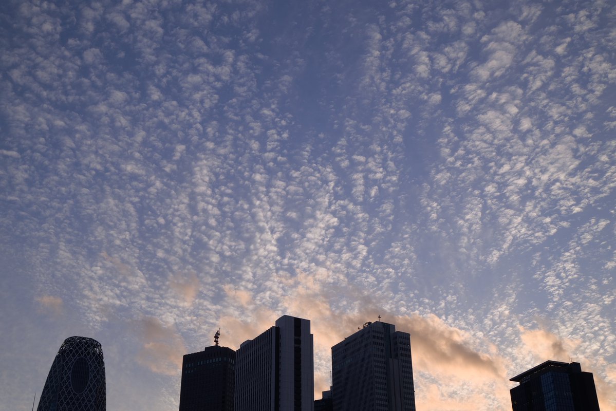 matsu_photovlog's tweet image. 歌舞伎町から

Sigma BF
SIGMA 45mm F2.8 DG | Contemporary

#Sigma 
#SigmaBF