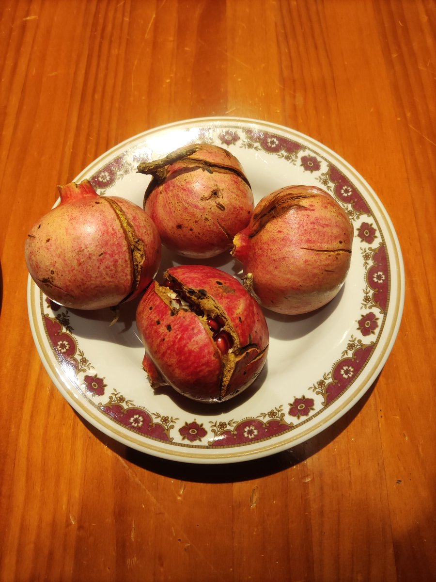 En el mundo rural sales a corré i tornas cansau i con cuatro mangllanas 😁

¡Feliz día del orgullo rural! 🌄✊