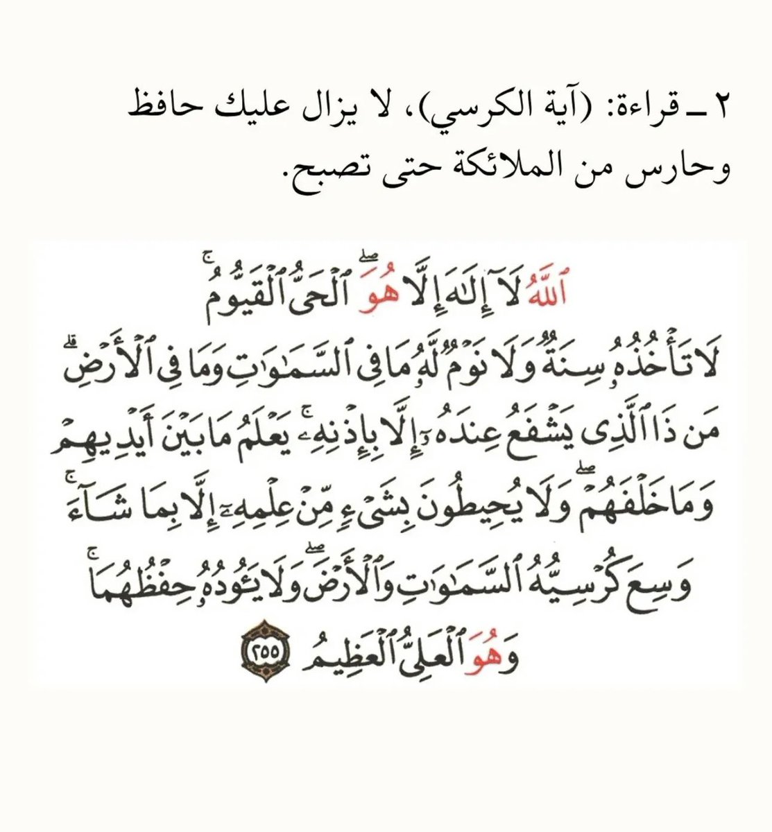 .🪞 tweet media