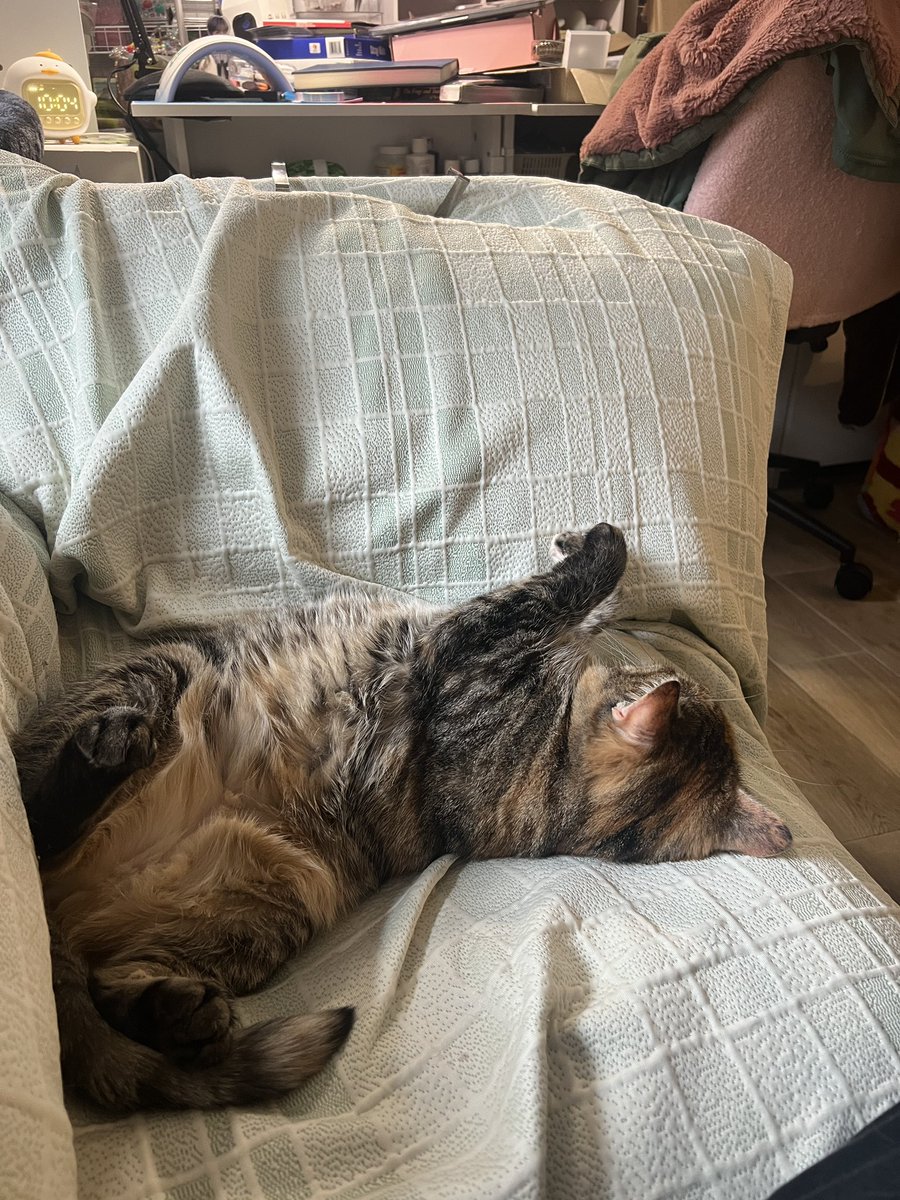 marbledacat's tweet image. eeping nermally