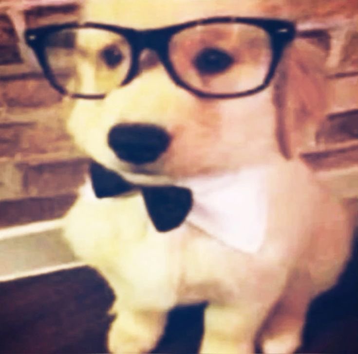 apple2hearts's tweet image. ⠀⠀⠀   ⠀
⠀⠀⠀  busco  mutis!⠀⠀✿⠀⠀⠀맜
⠀ ⠀⠀ / ⠀ #kpoptwt  ·  #stantwt

⠀⠀⠀  milo - 19 - esp + eng - col
⠀⠀⠀  nct - skz - h2h - gfriend +
⠀⠀⠀  ⠀ nana - tgswiiwagaa ..
⠀⠀  NO: subtw [ed/sh/clepto/etc]

⠀⠀⠀  rt + like = mutis x siempre