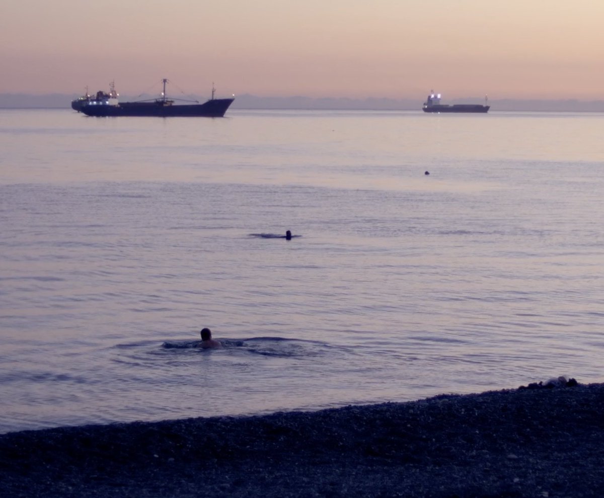 MUBI Canada tweet media