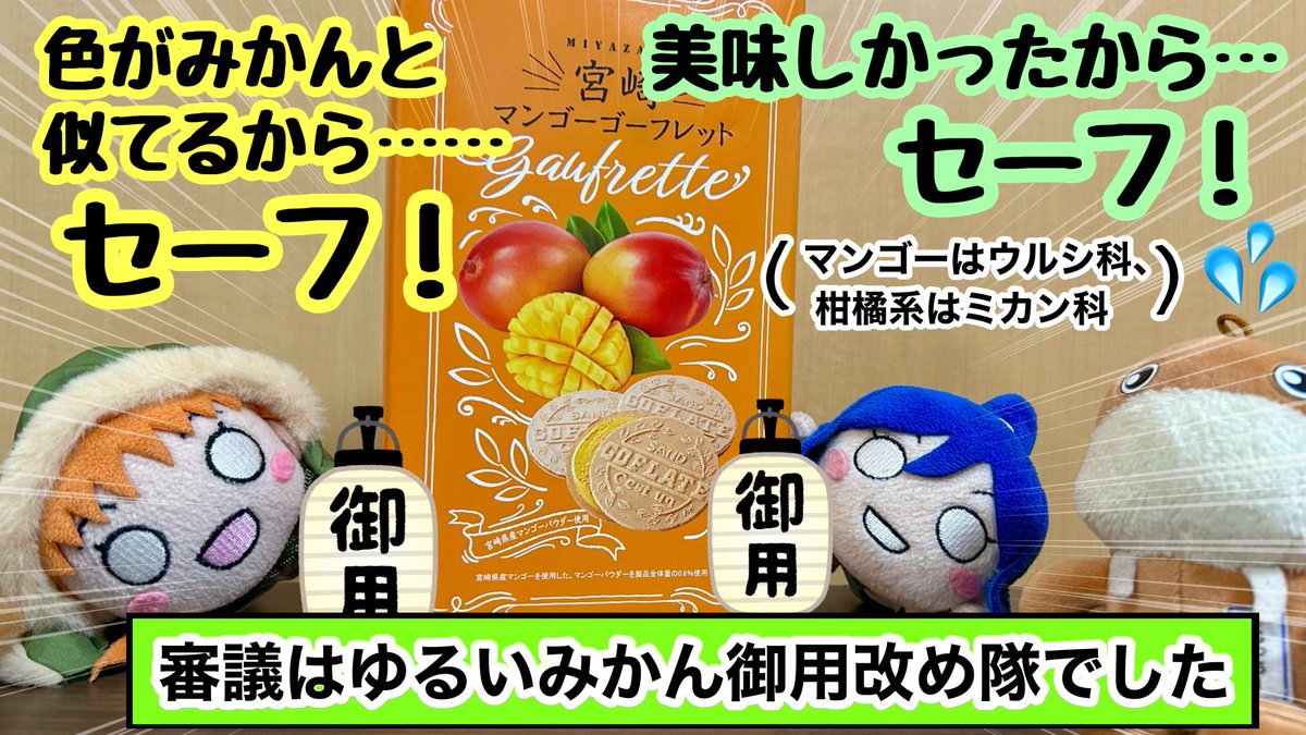 みかん仙人とマンゴー】 フォロワーのぴこぴーぴこちゃんさんからお