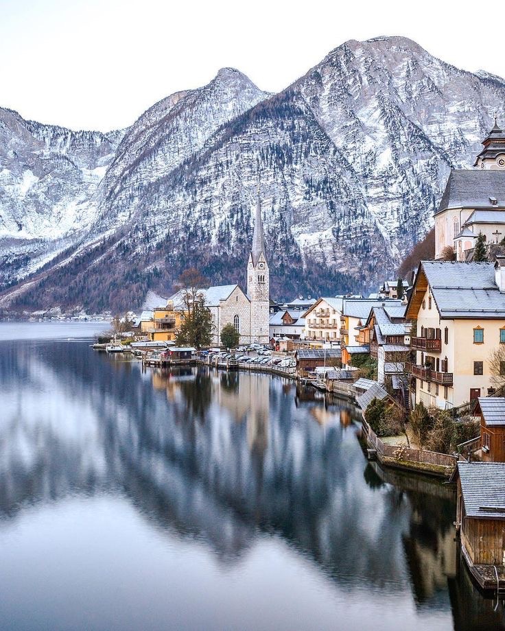 purelivn's tweet image. winter in austria