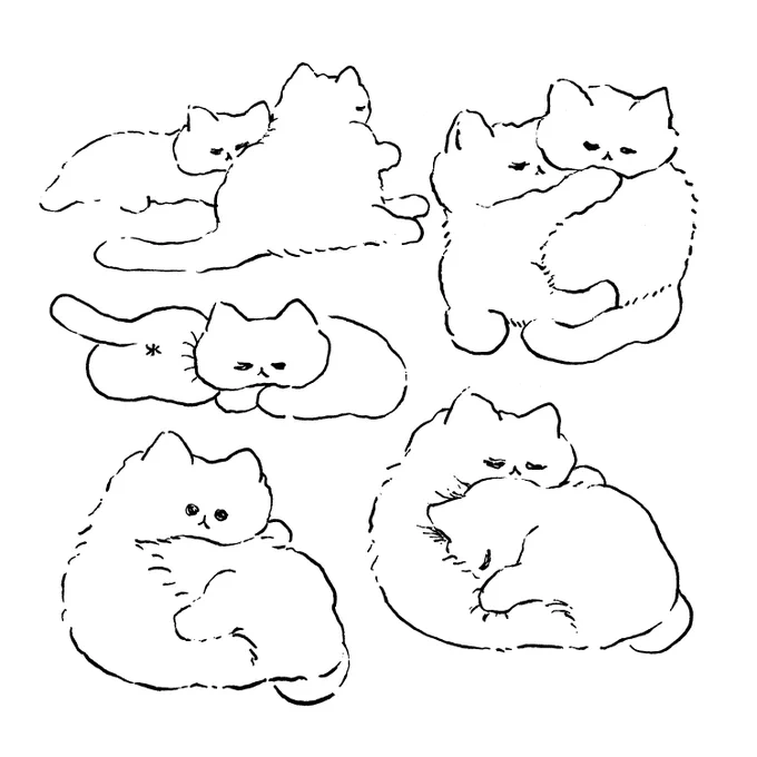 ねこ 