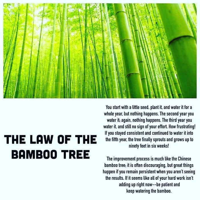 Coach Swann tweet media