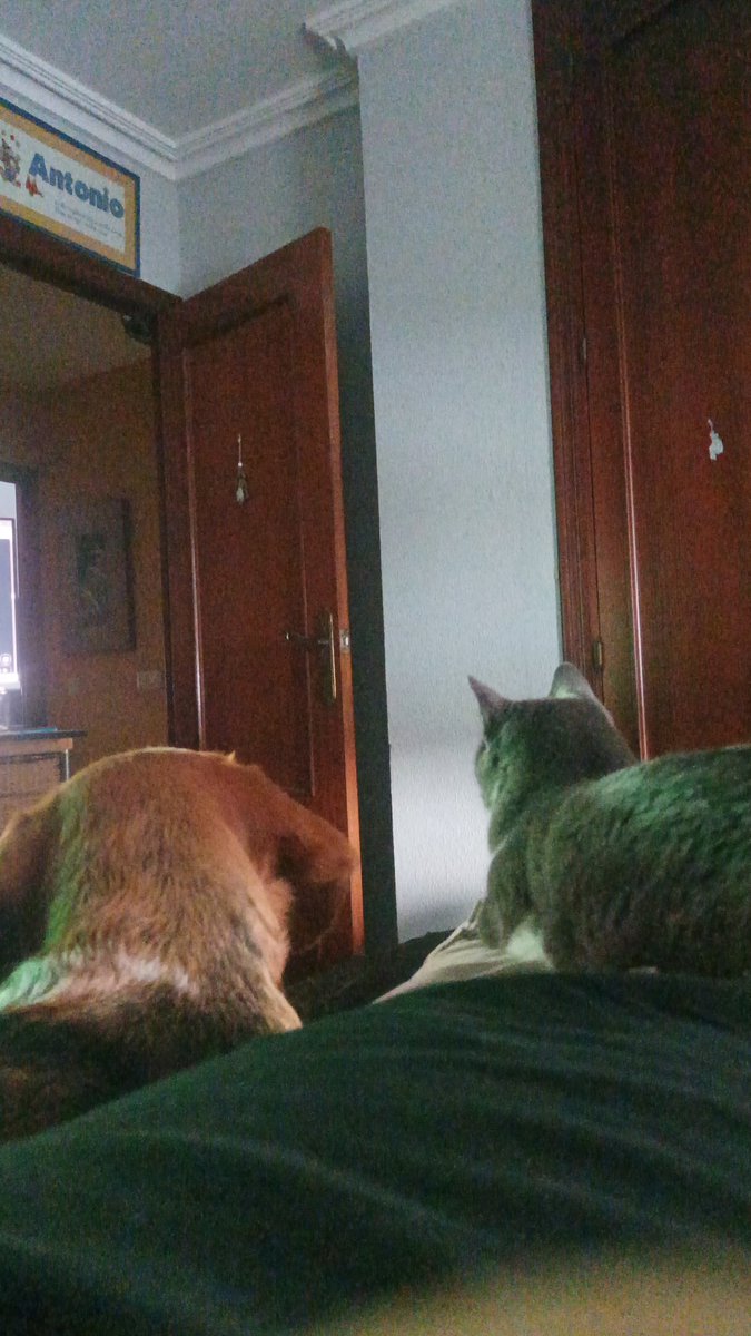 Me gankean cuando estaba viendo el locke de folagor