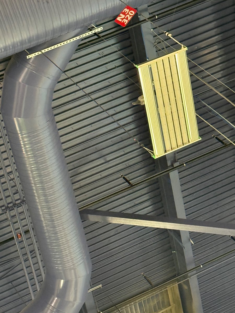 Someone tell me how this john got a spectator pass