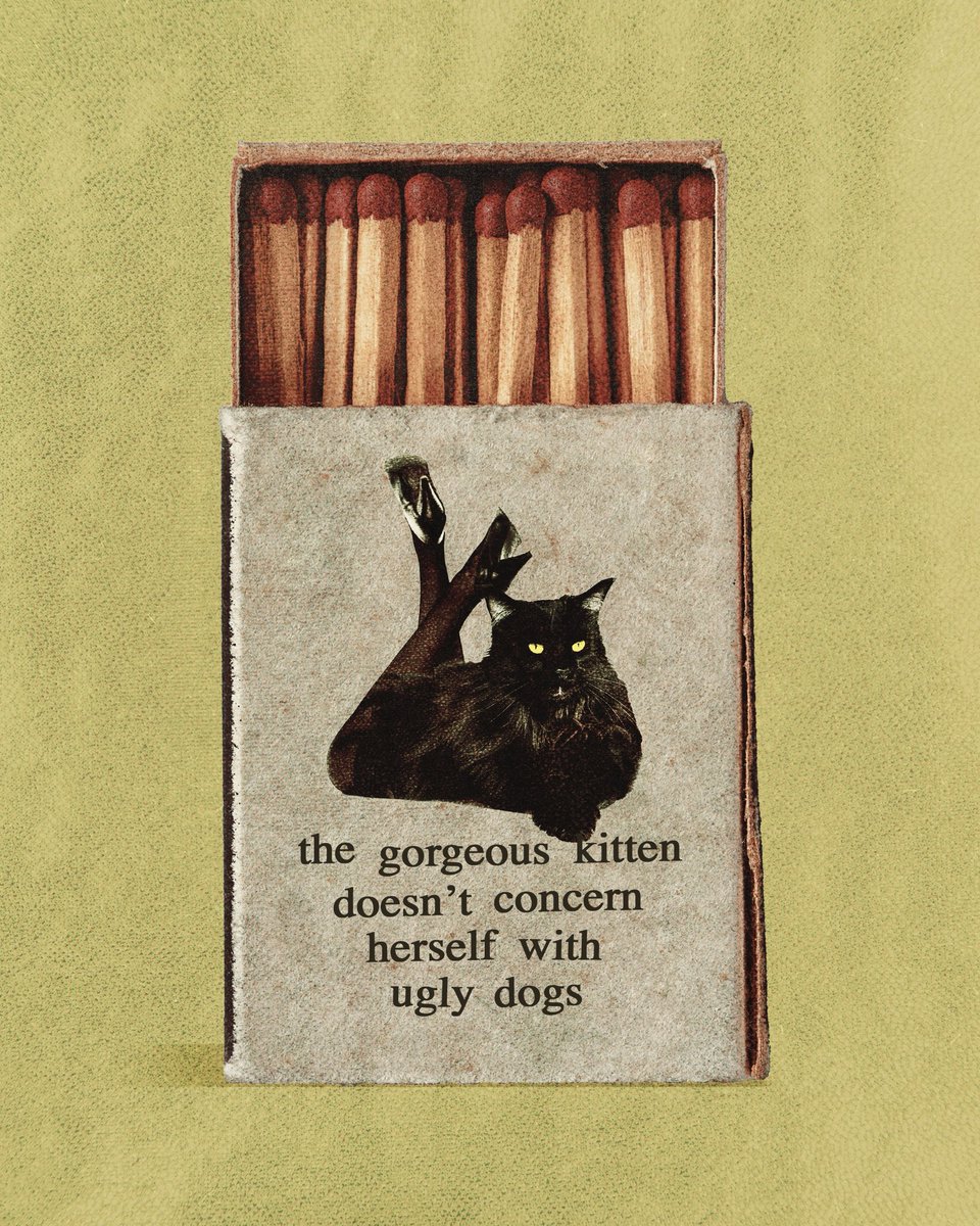 Boy Fantasy (@byboyfantasy) on Twitter photo 