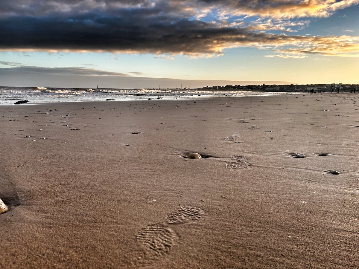 Steven Oley tweet media