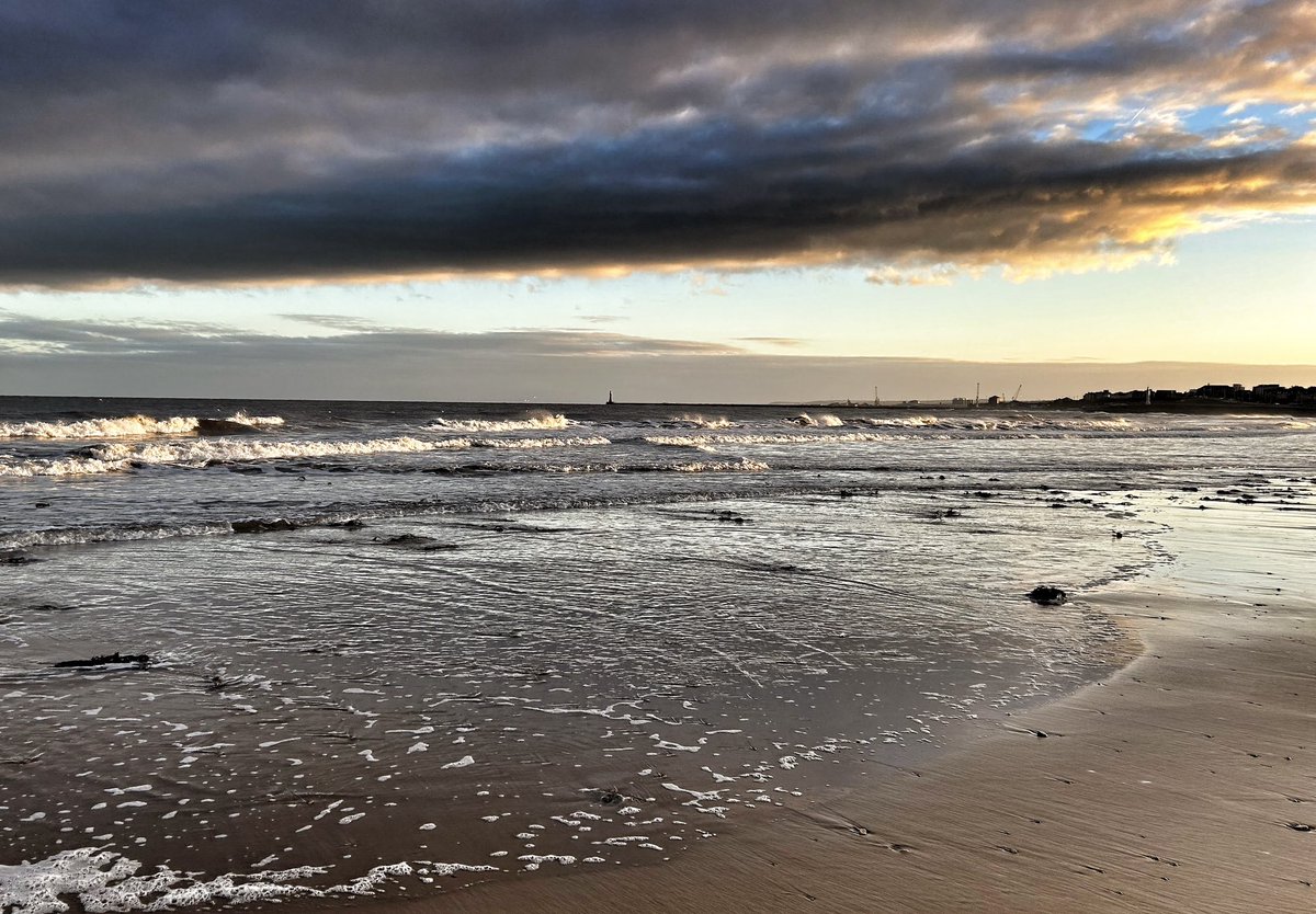 Steven Oley tweet media