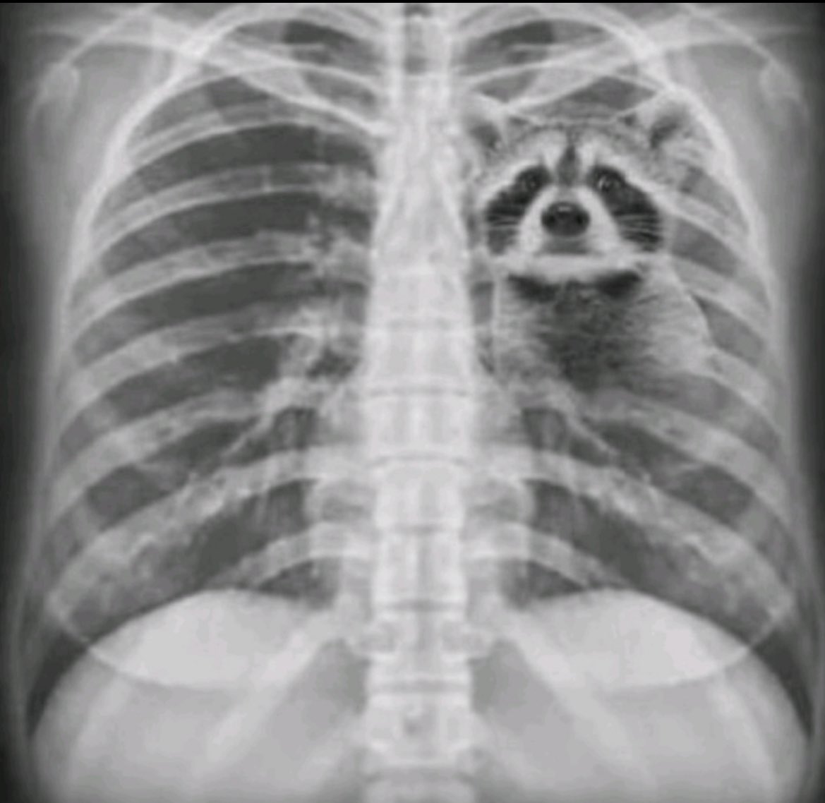 An image of her heart hurting in real time
