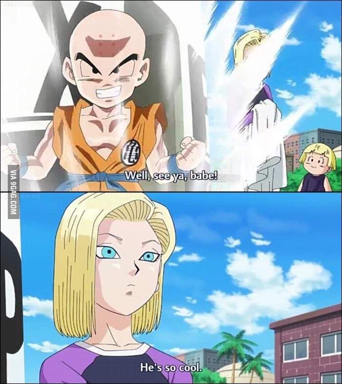 Daily_Android18's tweet image. 